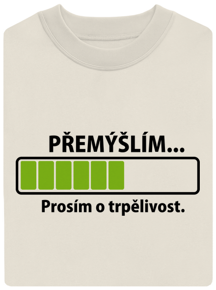 Přemýšlím