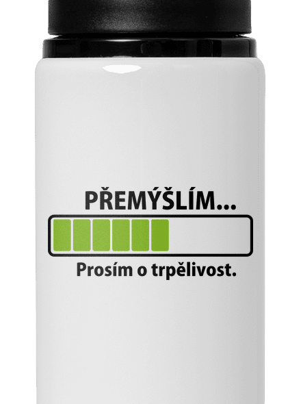 Přemýšlím