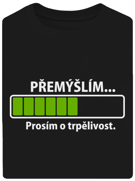 Přemýšlím
