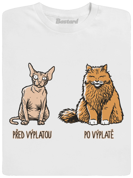 Kočka před výplatou