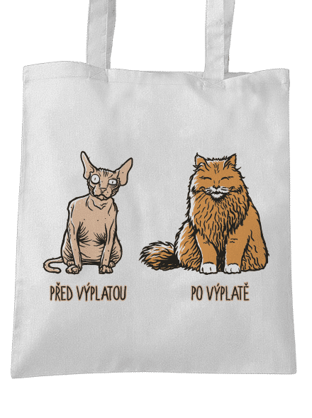 Kočka před výplatou