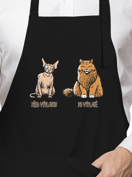 Kočka před výplatou