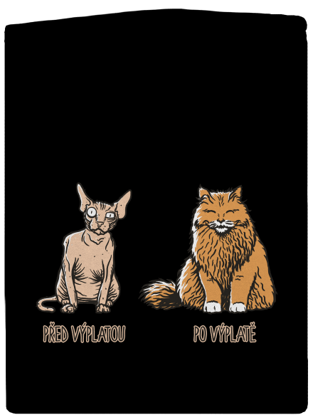 Kočka před výplatou