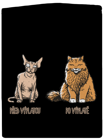 Kočka před výplatou