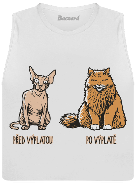 Kočka před výplatou