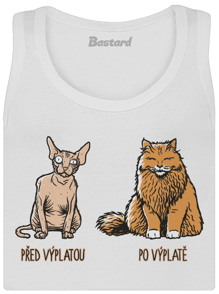 Kočka před výplatou