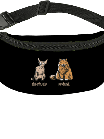 Kočka před výplatou