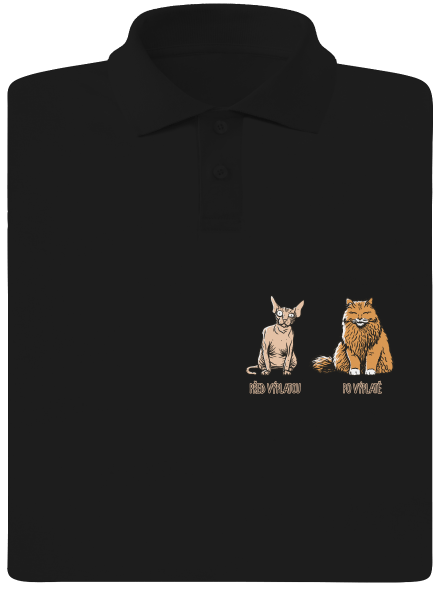 Kočka před výplatou