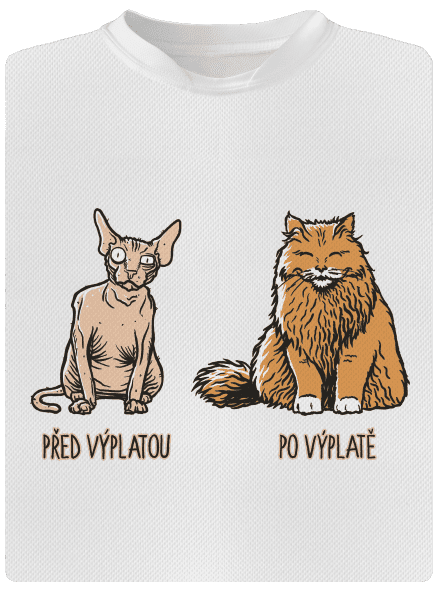 Kočka před výplatou