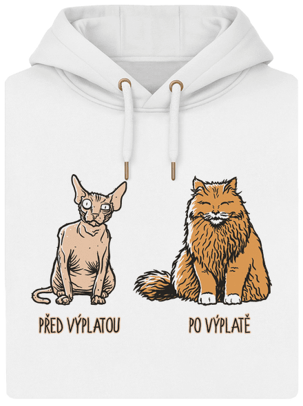 Kočka před výplatou