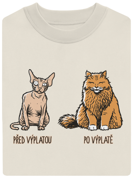Kočka před výplatou