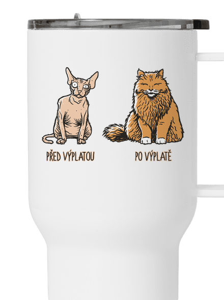 Kočka před výplatou