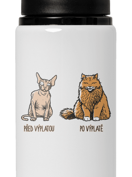 Kočka před výplatou
