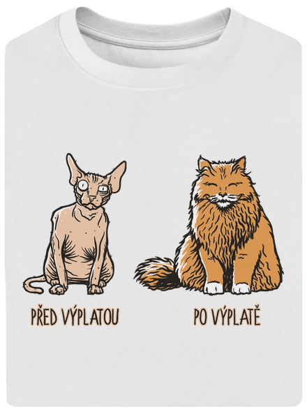 Kočka před výplatou