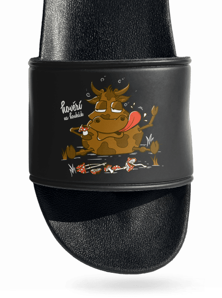 Hovězí na houbách