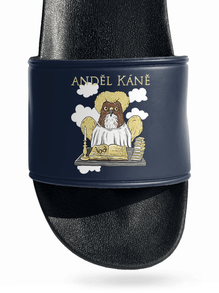 Anděl Káně