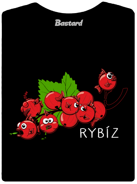 Rybíz