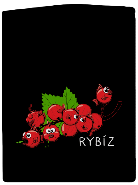 Rybíz