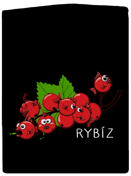Rybíz