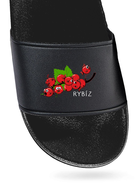 Rybíz