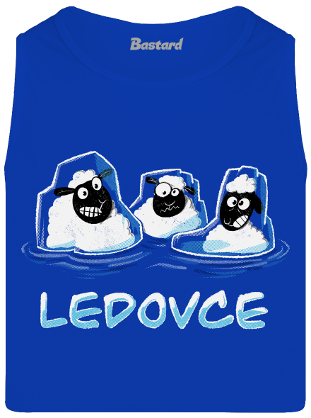Ledovce