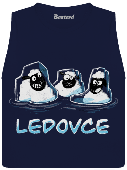 Ledovce