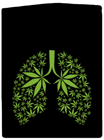 Ganja plíce