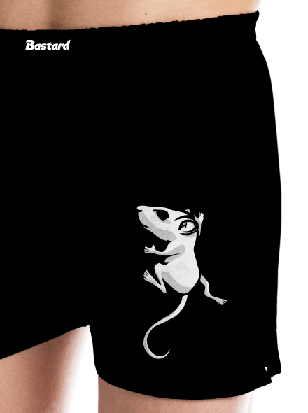Myšák