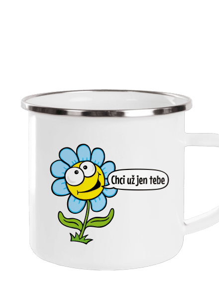Chci už jen tebe