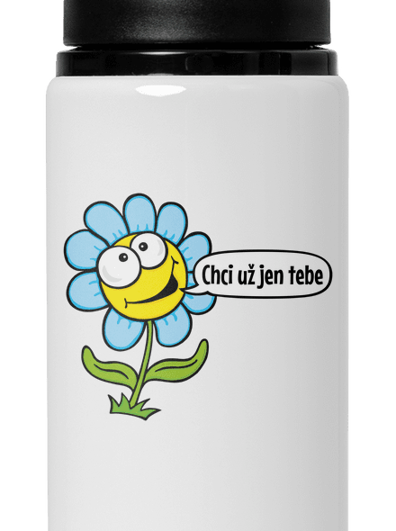 Chci už jen tebe