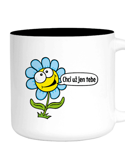 Chci už jen tebe