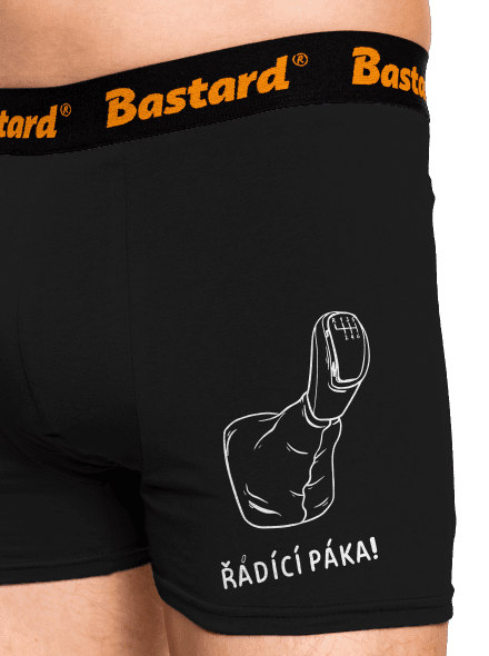 Řádící páka