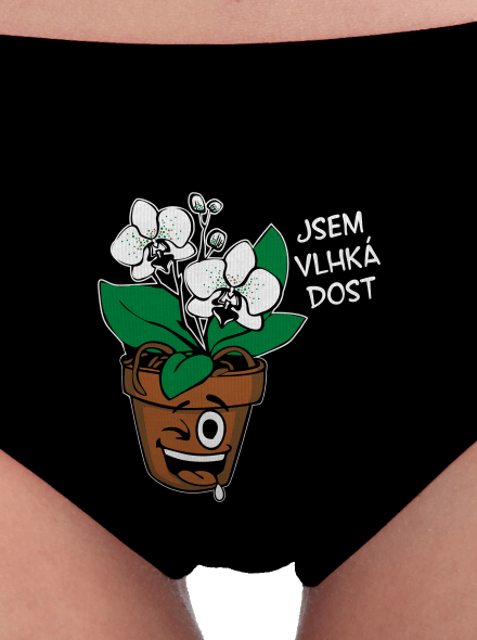 dámské kalhotky