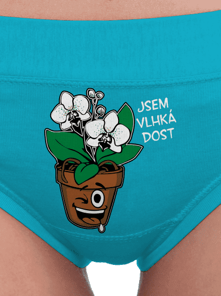 Orchidej a rozprašovač