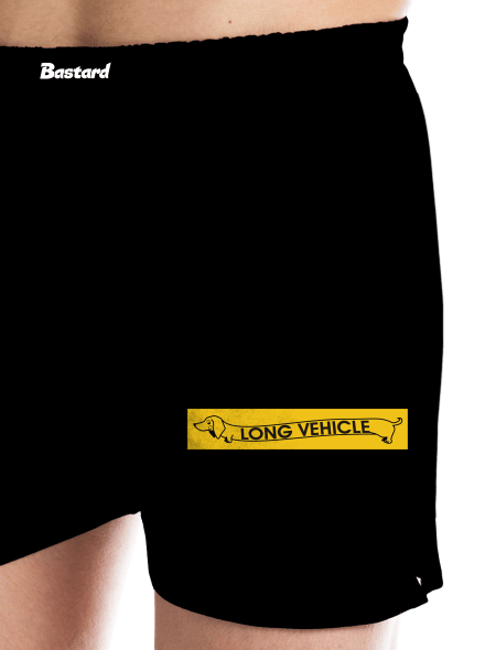 Long vehicle
