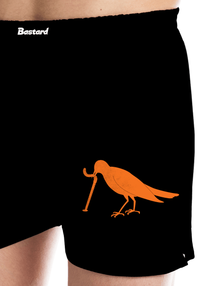 Žížala