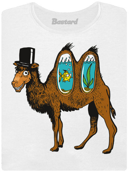 Velbloudí tajemství