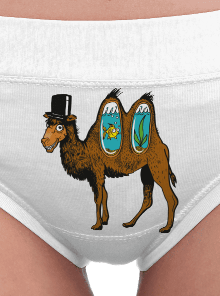 Velbloudí tajemství