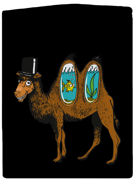 Velbloudí tajemství