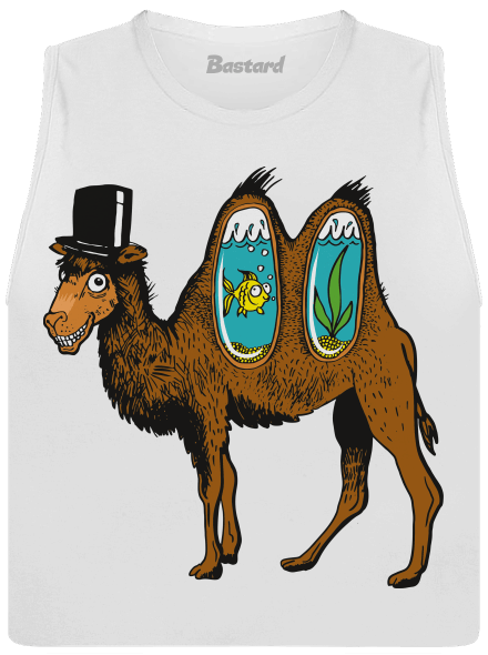 Velbloudí tajemství