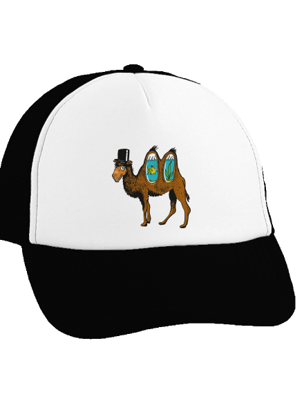 Velbloudí tajemství