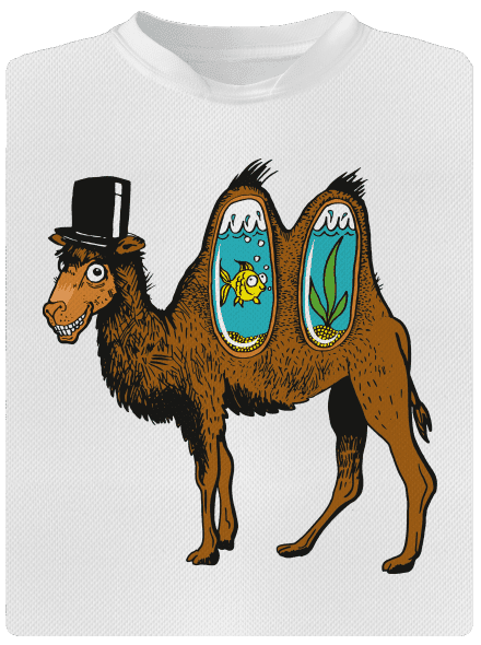 Velbloudí tajemství