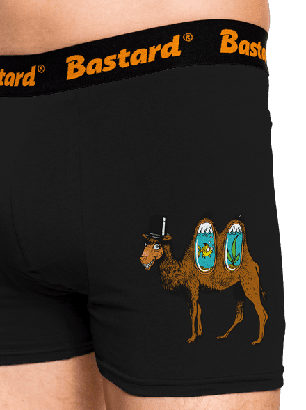 Velbloudí tajemství