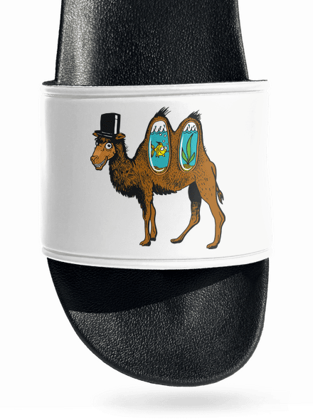 Velbloudí tajemství