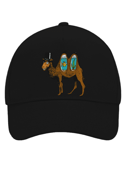 Velbloudí tajemství