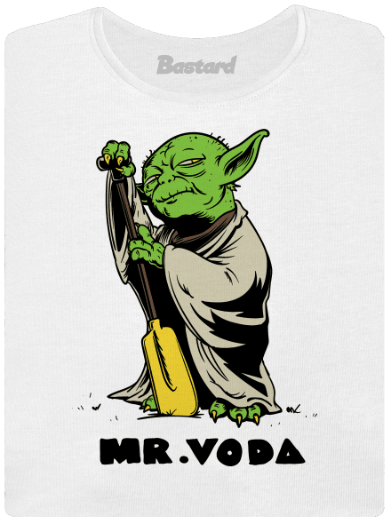 Mr. Voda