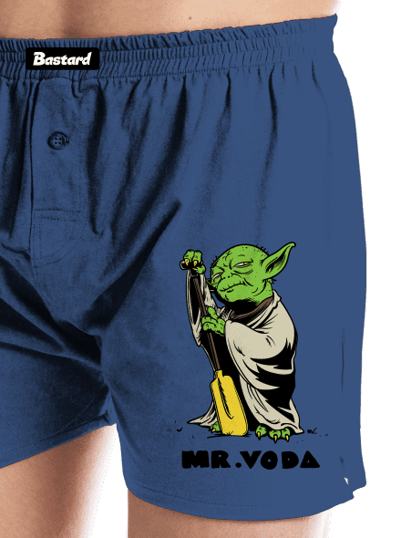 Mr. Voda