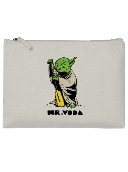 Mr. Voda