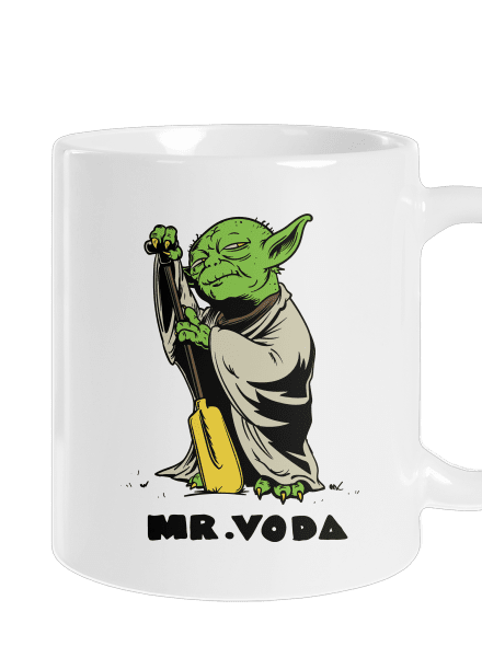 Mr. Voda