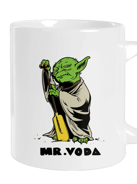 Mr. Voda